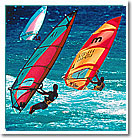 Wind Surfer