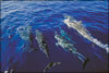 My Gallery: Image