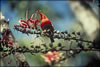 My Gallery: Image