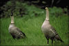 My Gallery: Image