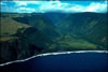 My Gallery: Image