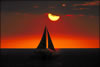 My Gallery: Image