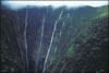 My Gallery: Image