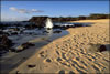 My Gallery: Image