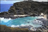 My Gallery: Image