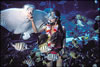 My Gallery: Image