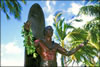 My Gallery: Image