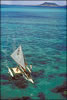 My Gallery: Image