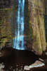 NWB037