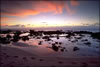 The Island of Molokai