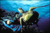 Underwater delights